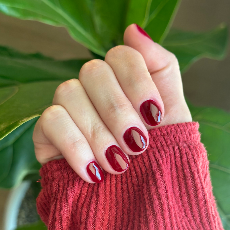 Obsessed - Gel shown on nails in a deep dark ruby red for a glossy, rich gel manicure by Olive and June