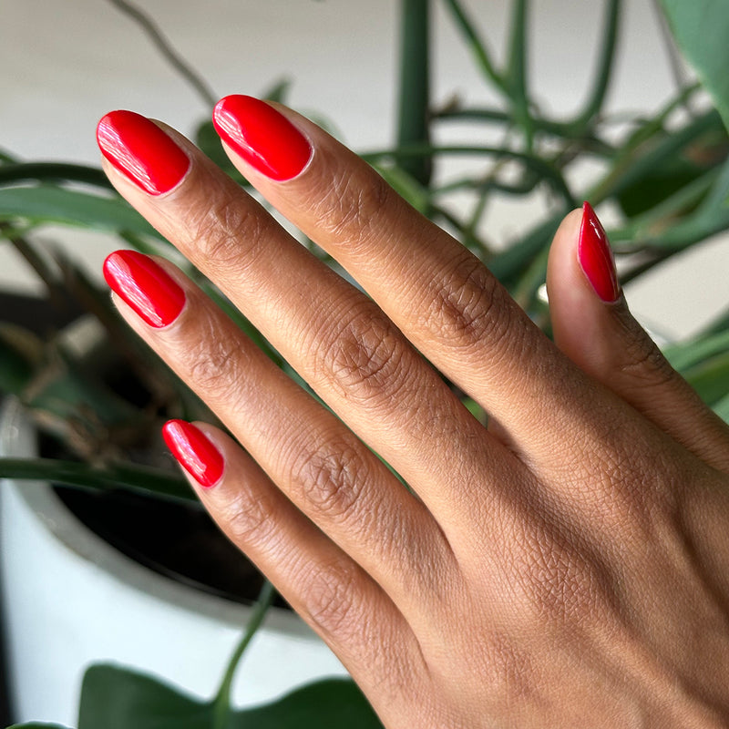 Hand with medium-length nails polished in Secret Recipe blue-toned red gel polish against a plant background