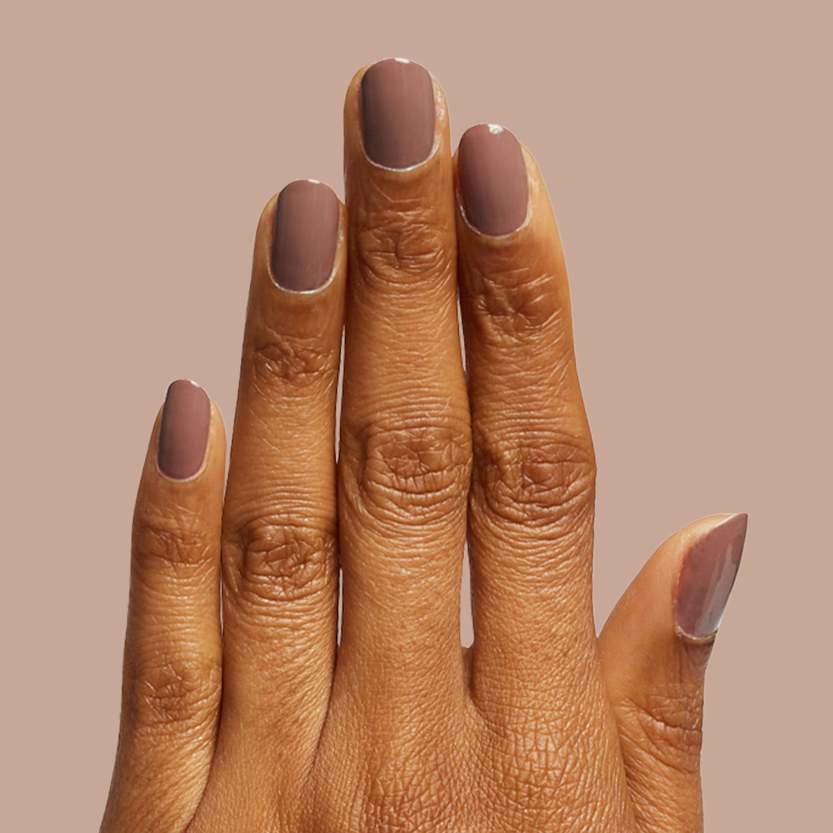 Fawn – Olive and June