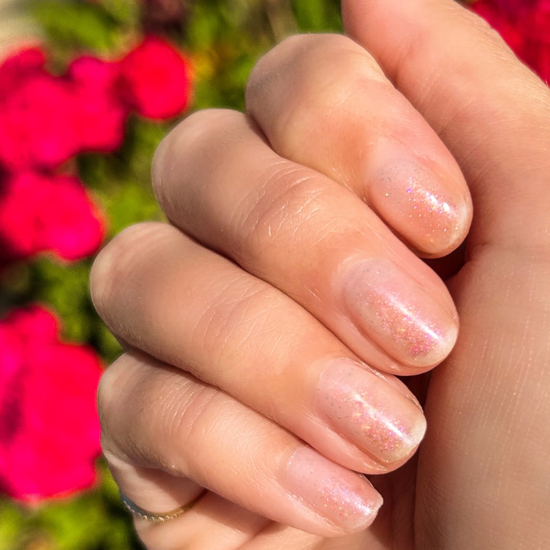 picture of Starshower