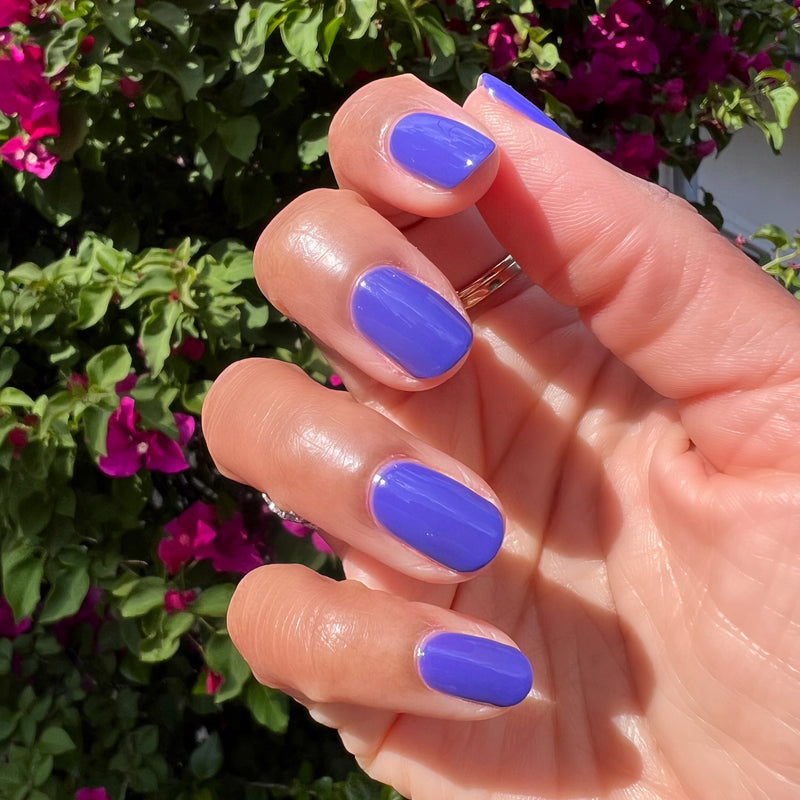 2023 Summer Polish Set