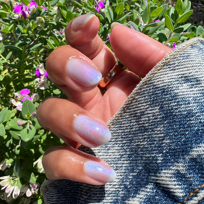 picture of Friend or Anemone?