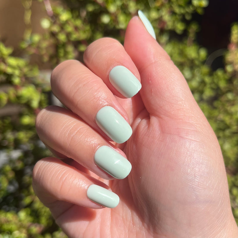 picture of Seafoam | Short | Squoval - Tab Press-On