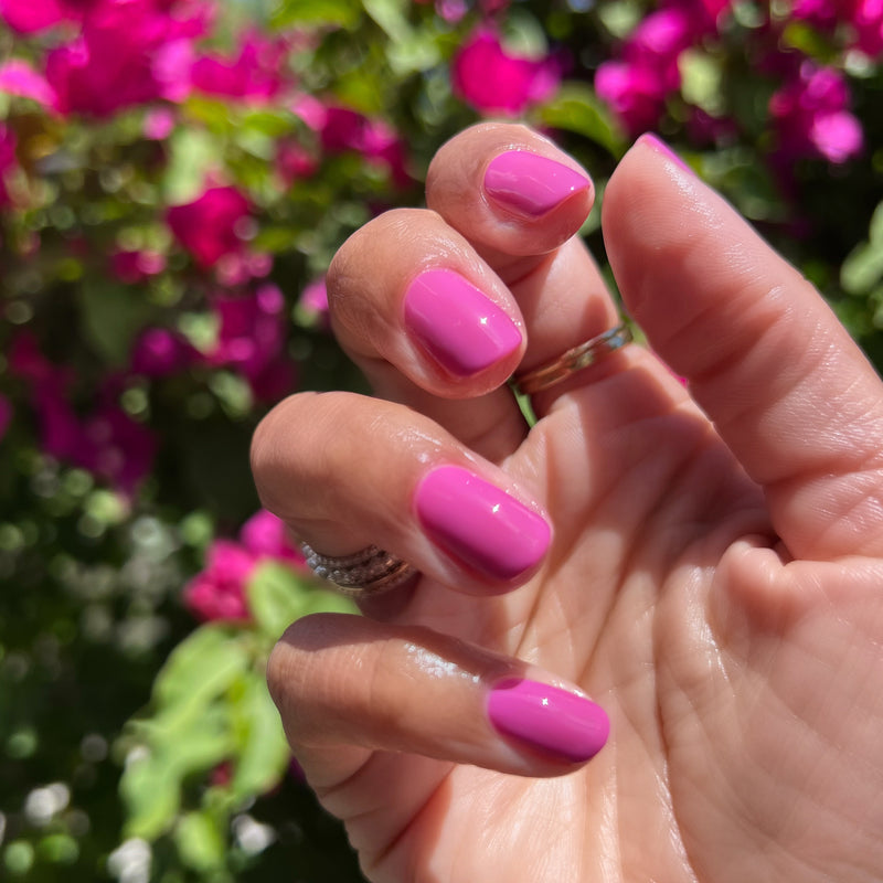 picture of How Do You Spell Bougainvillea?