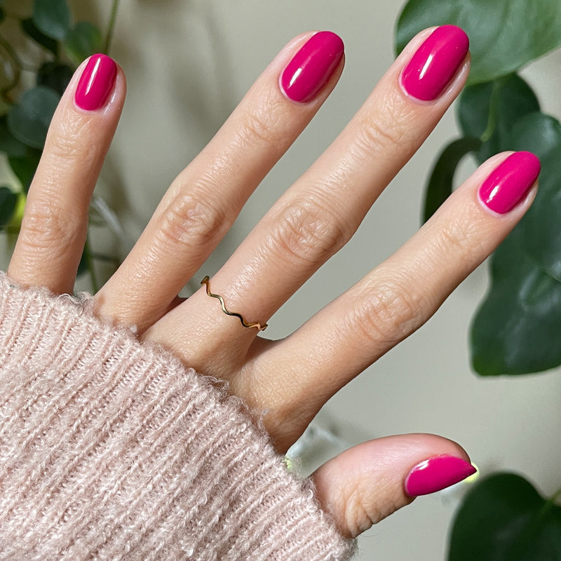 picture of Biggest Bow