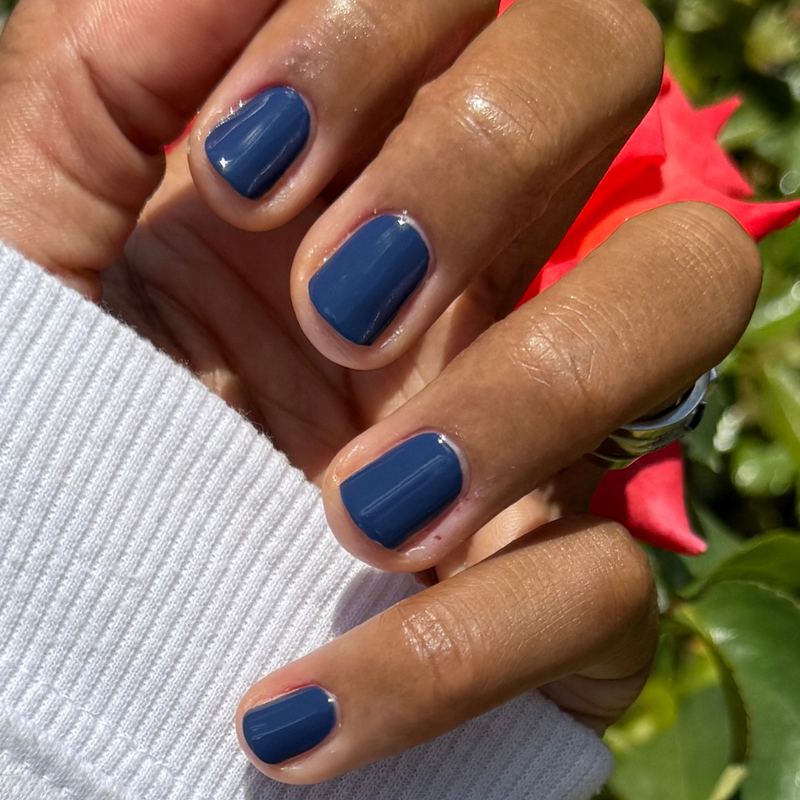 picture of Ack, A Shark!