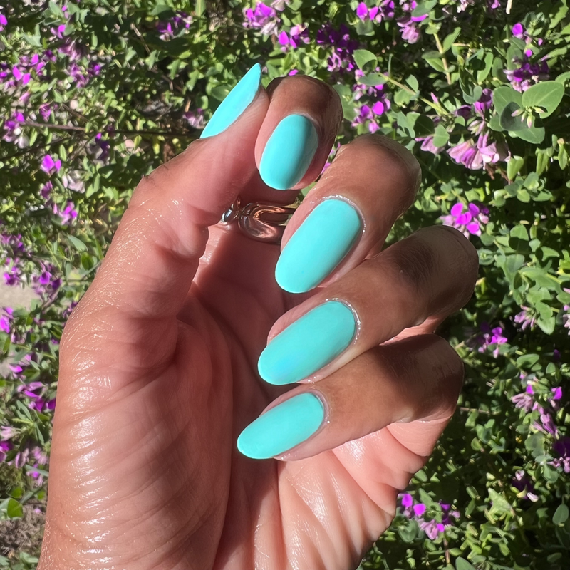 picture of All Manis on Deck