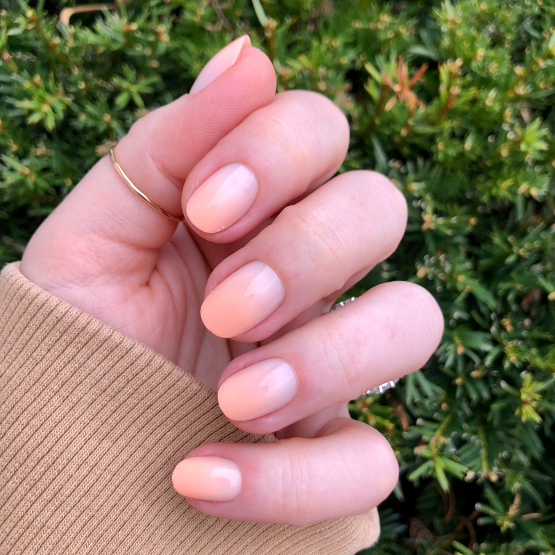 picture of BI Syrup Gradient - Press-On | Extra Short | Round