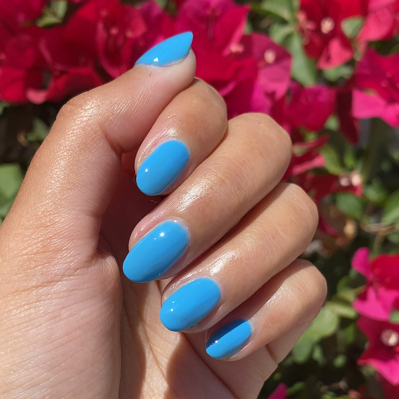 picture of Not a Cloud