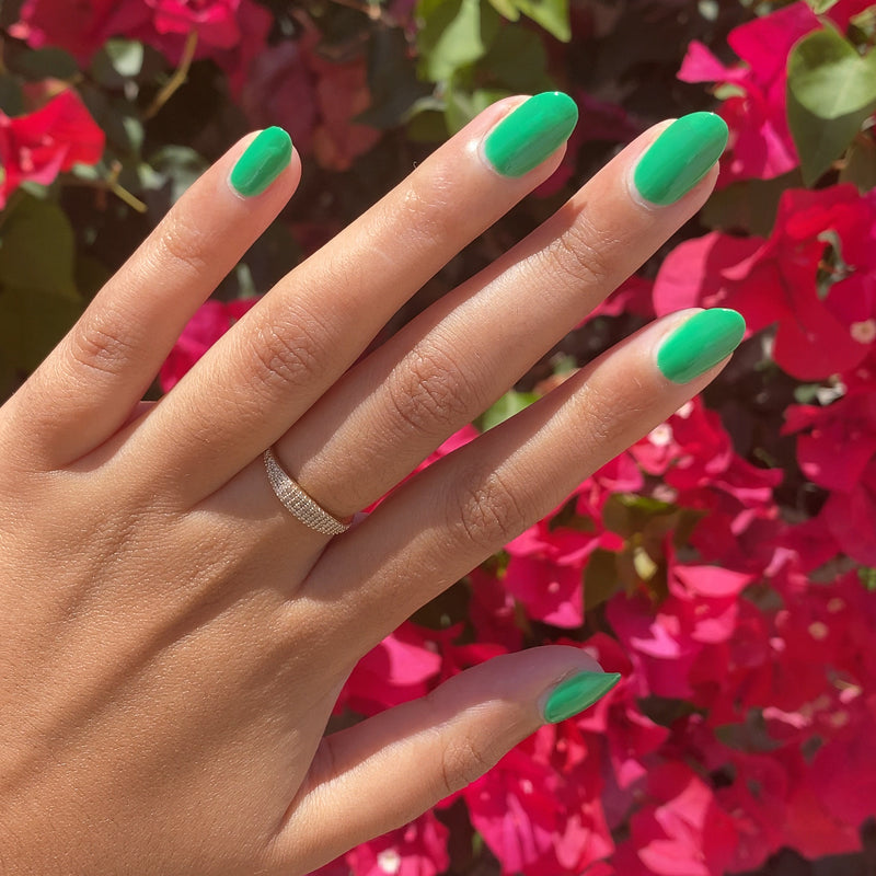 picture of Bocce Ball