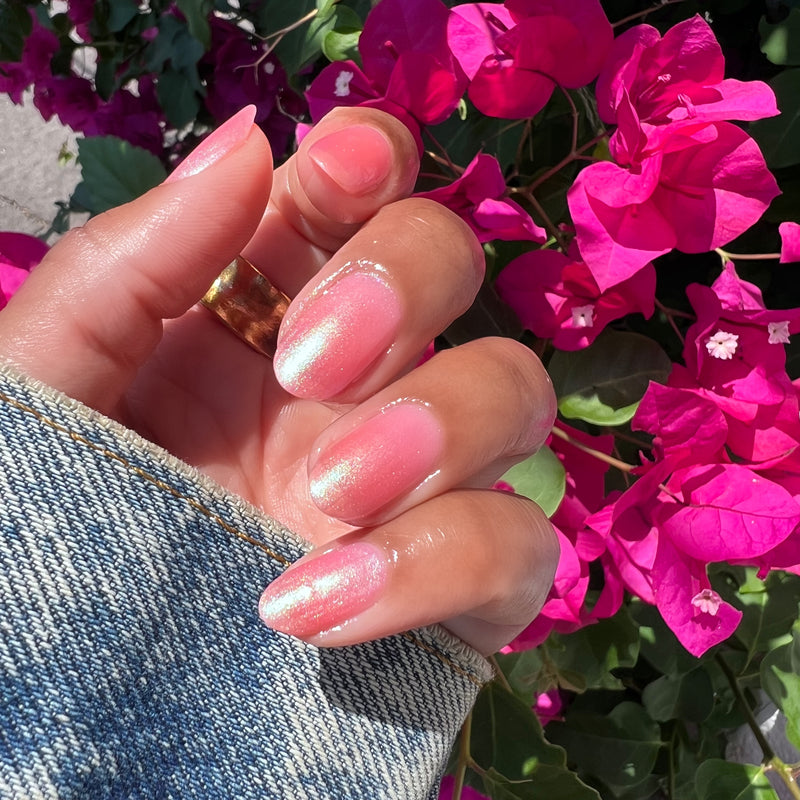 picture of That’s Amoray