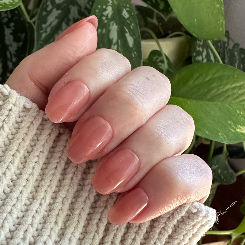 picture of World Lit Jelly - Press-On | Short | Round