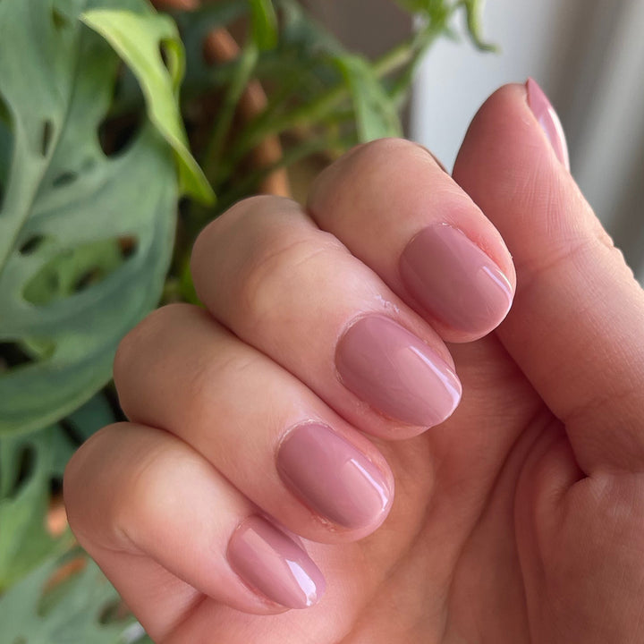 World Lit - Press-On | Extra Short | Round – Olive and June