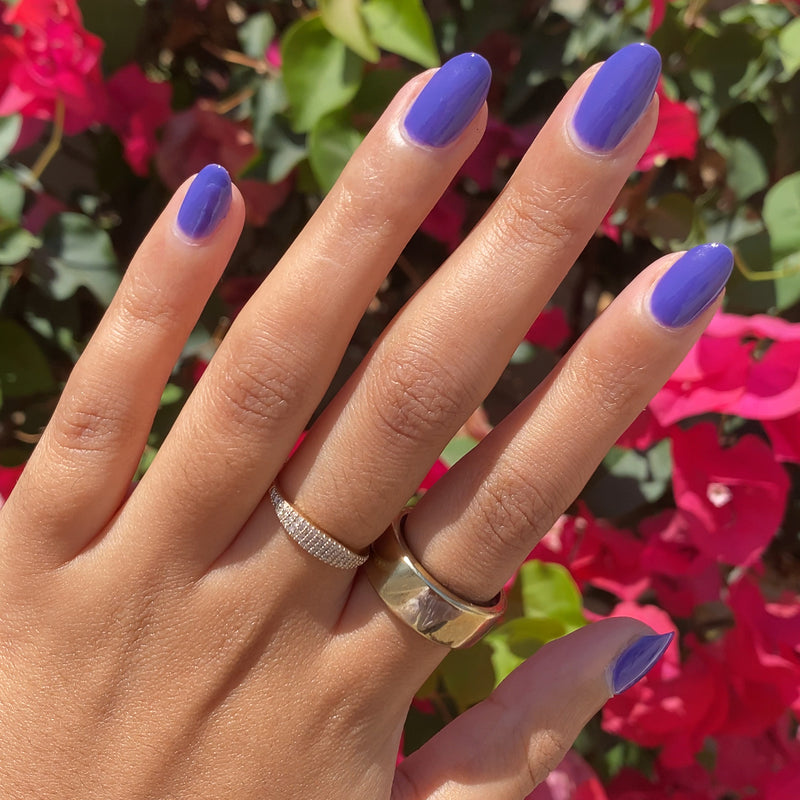 picture of House of O&J