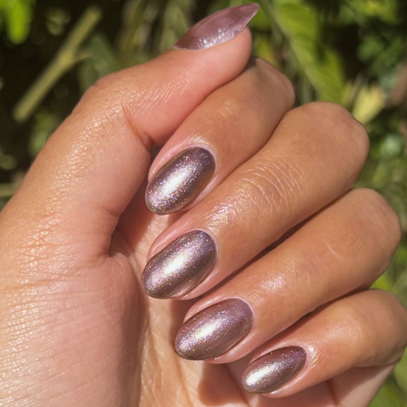 picture of Bronze Velvet