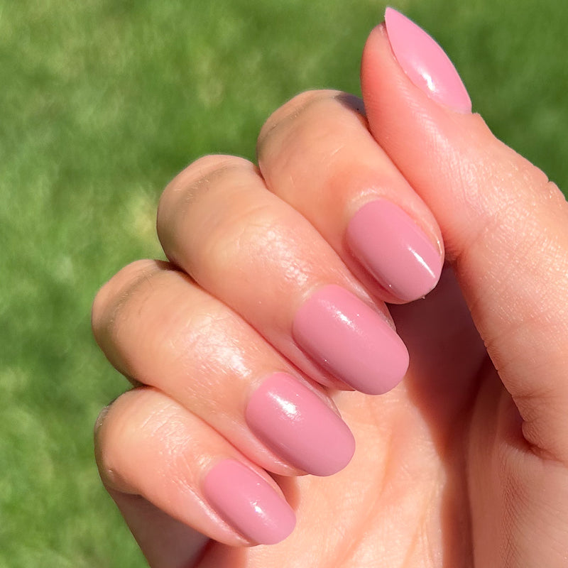 picture of World Lit - Press-On | Extra Short | Round