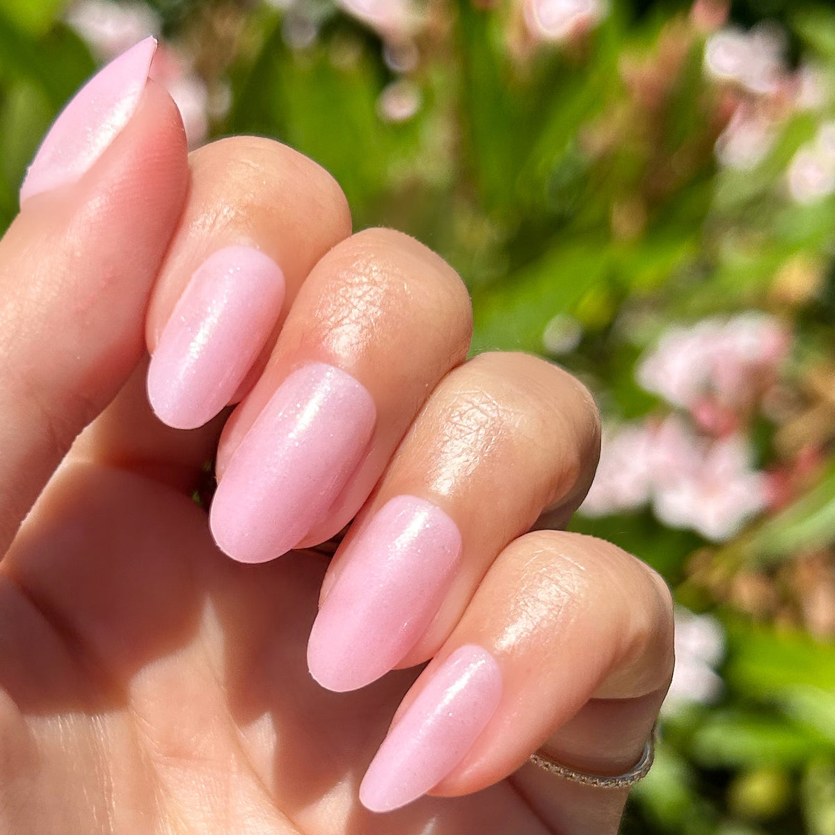Iridescent Pink - Press-On | Medium | Oval showing hand with medium oval false nails in soft pink shiny manicure outdoors