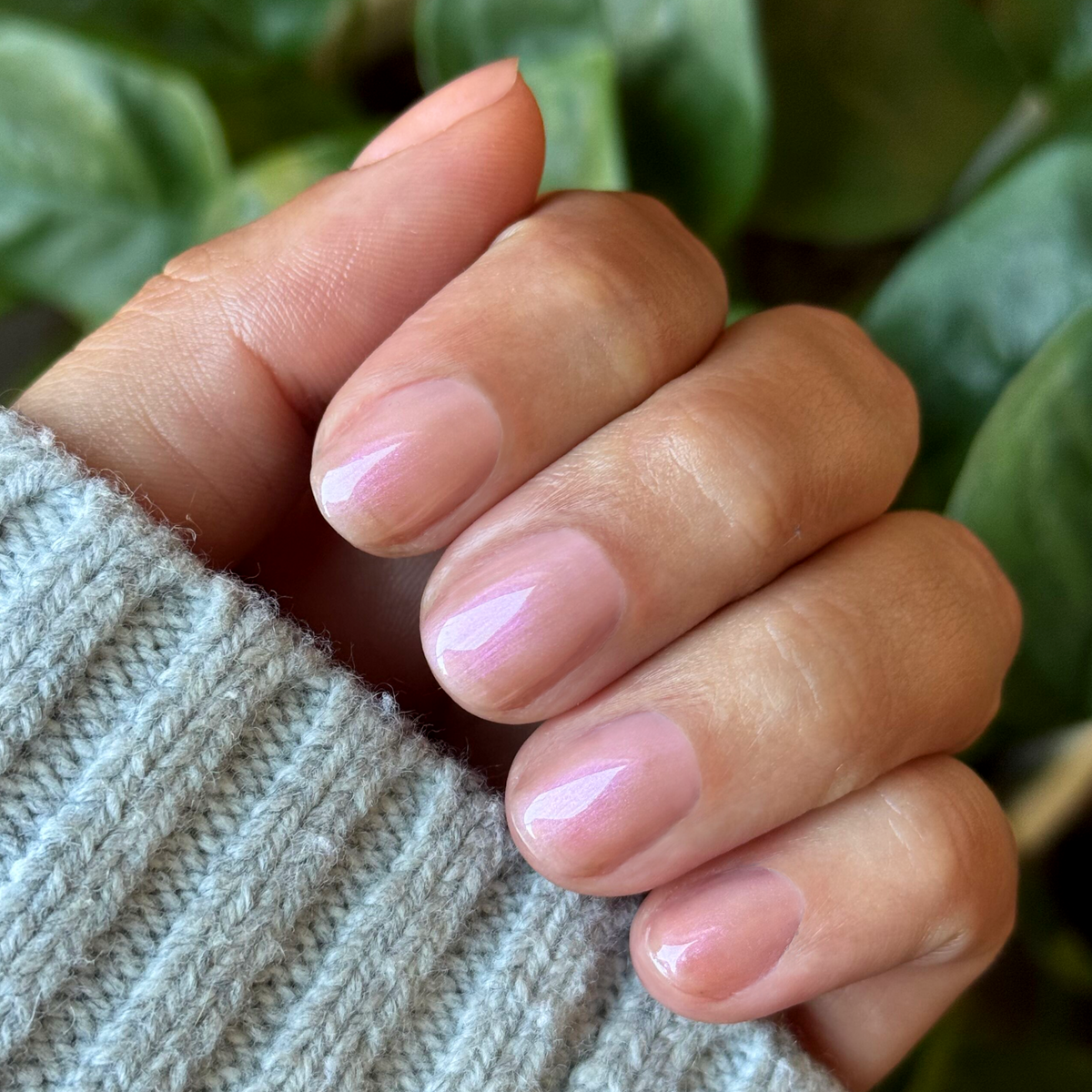 Champagne Chiffon - Builder Gel on short natural nails with a soft sheer golden iridescent manicure against cozy background