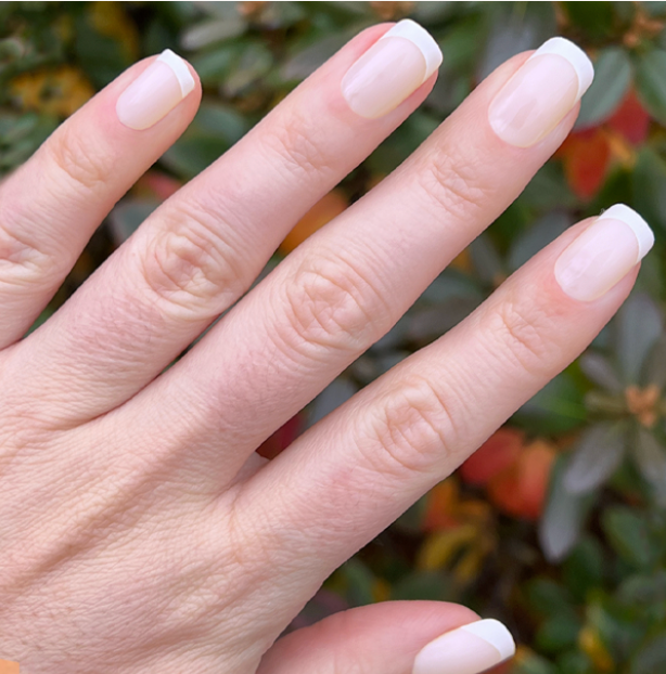 picture of Classic French - Press-On | Medium | Squoval