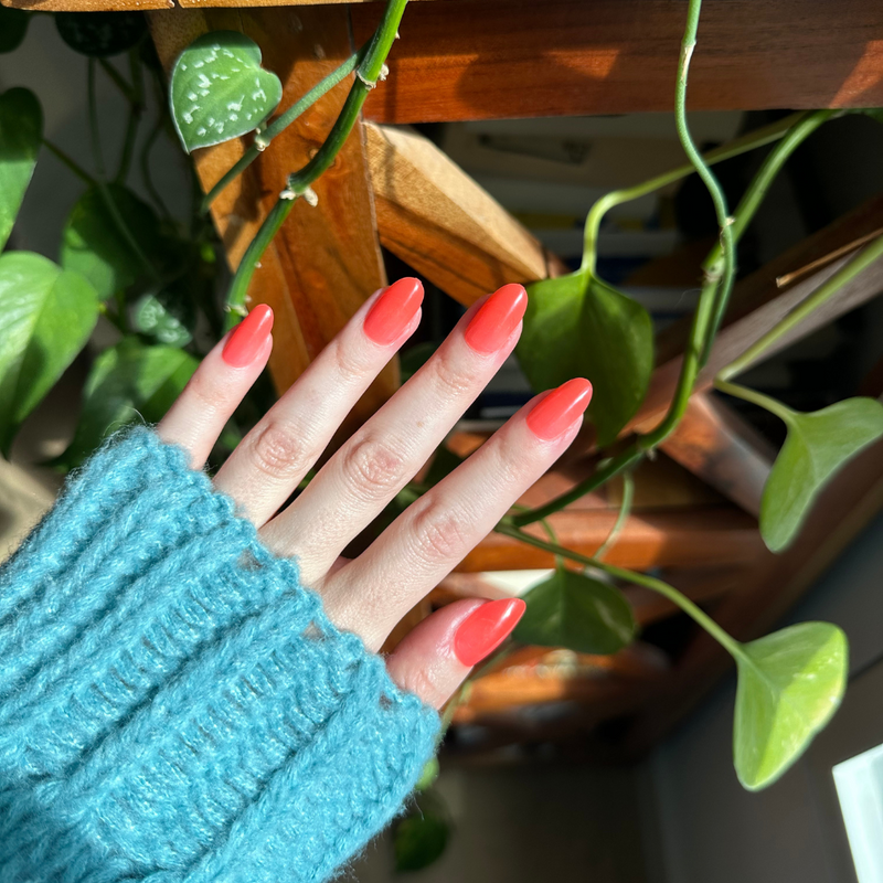 picture of Coral Jelly - Press-On | Medium | Oval