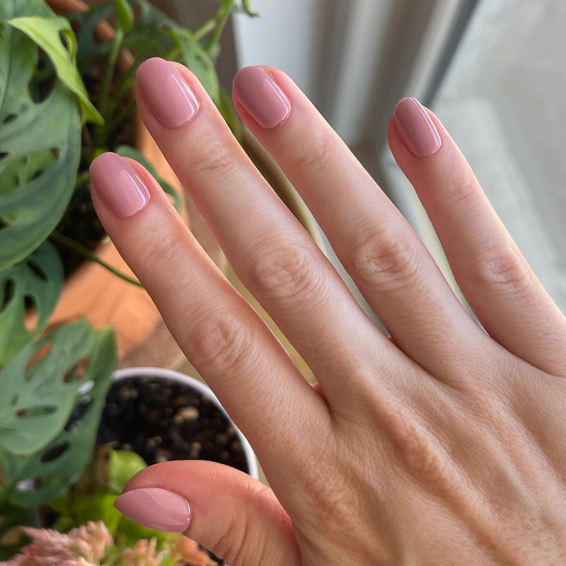 picture of World Lit - Press-On | Extra Short | Round