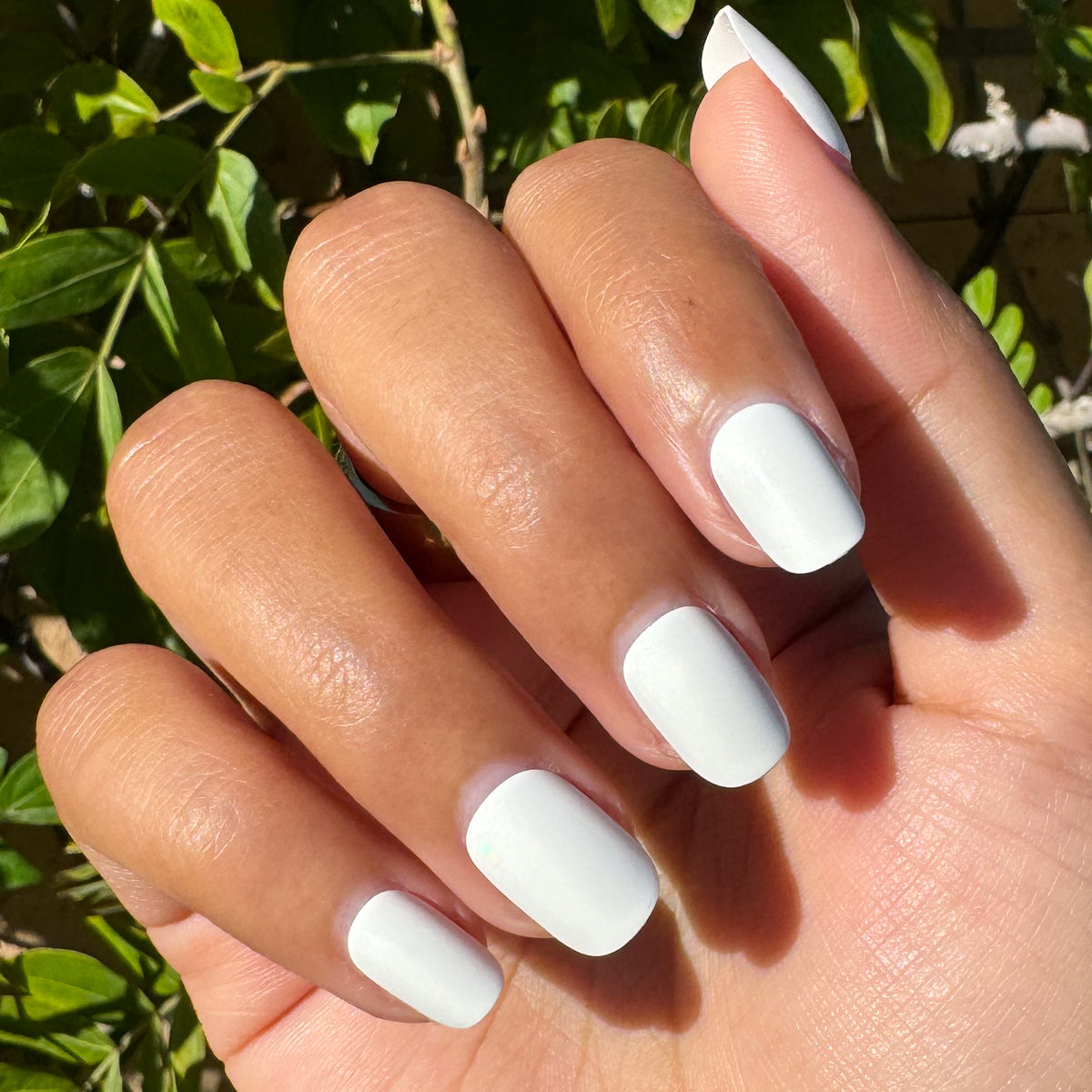 Swan | Extra Short | Squoval - Tab Press-On showing hand with bright white press-on nails outdoors in natural sunlight