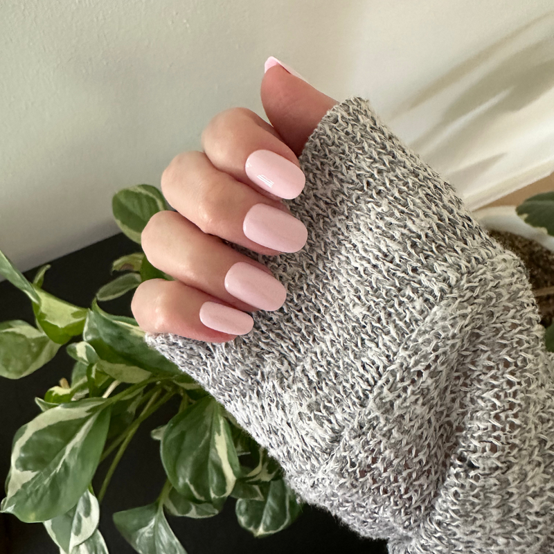 Olive & June Nails Press On Tabs Round Short Gelato | Walgreens Olive & June Nails Press On Tabs Round Short Gelato | Walgreens