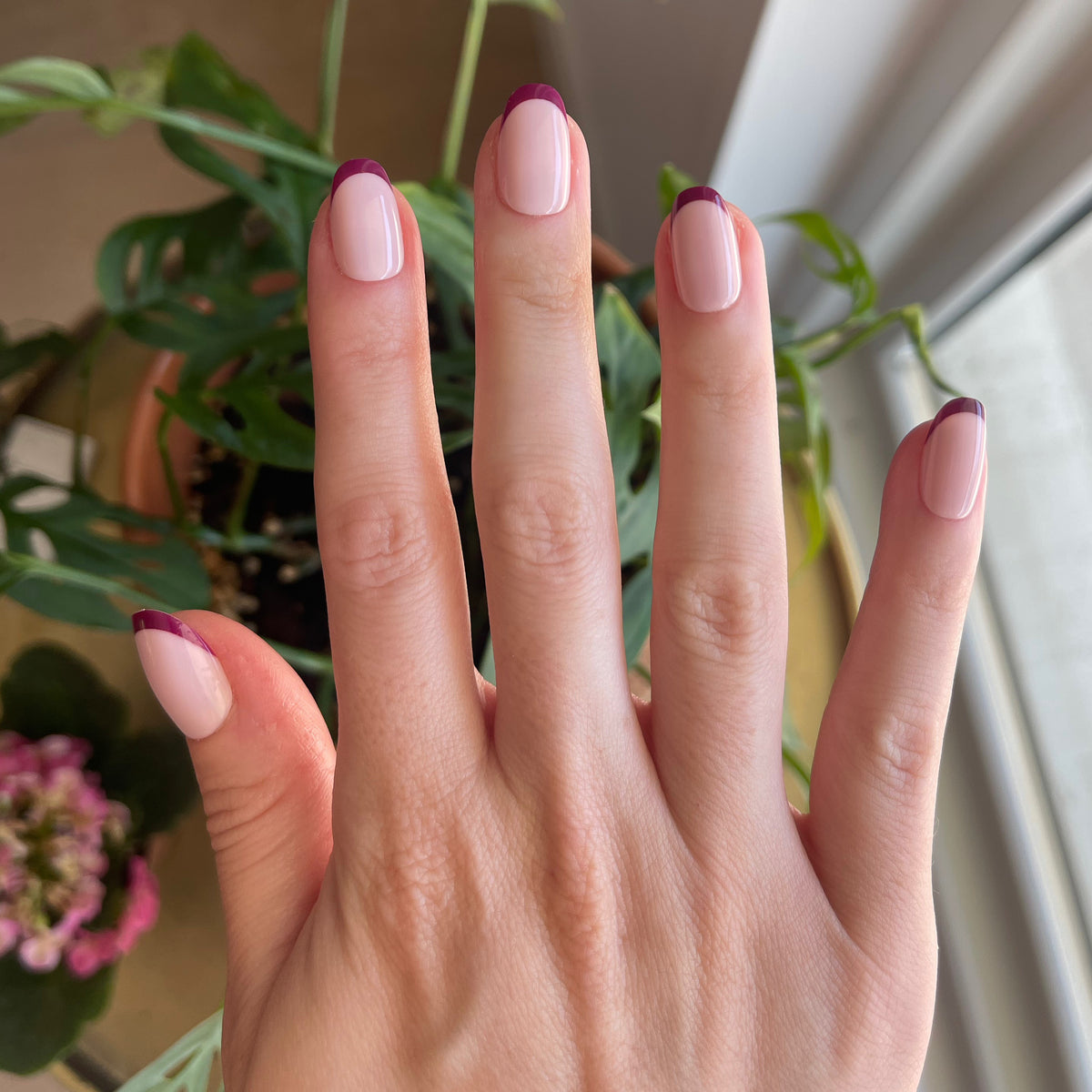 Plum Tonal French - Press-On | Short | Round showing hand with short round nails featuring plum french tips by window with plants background
