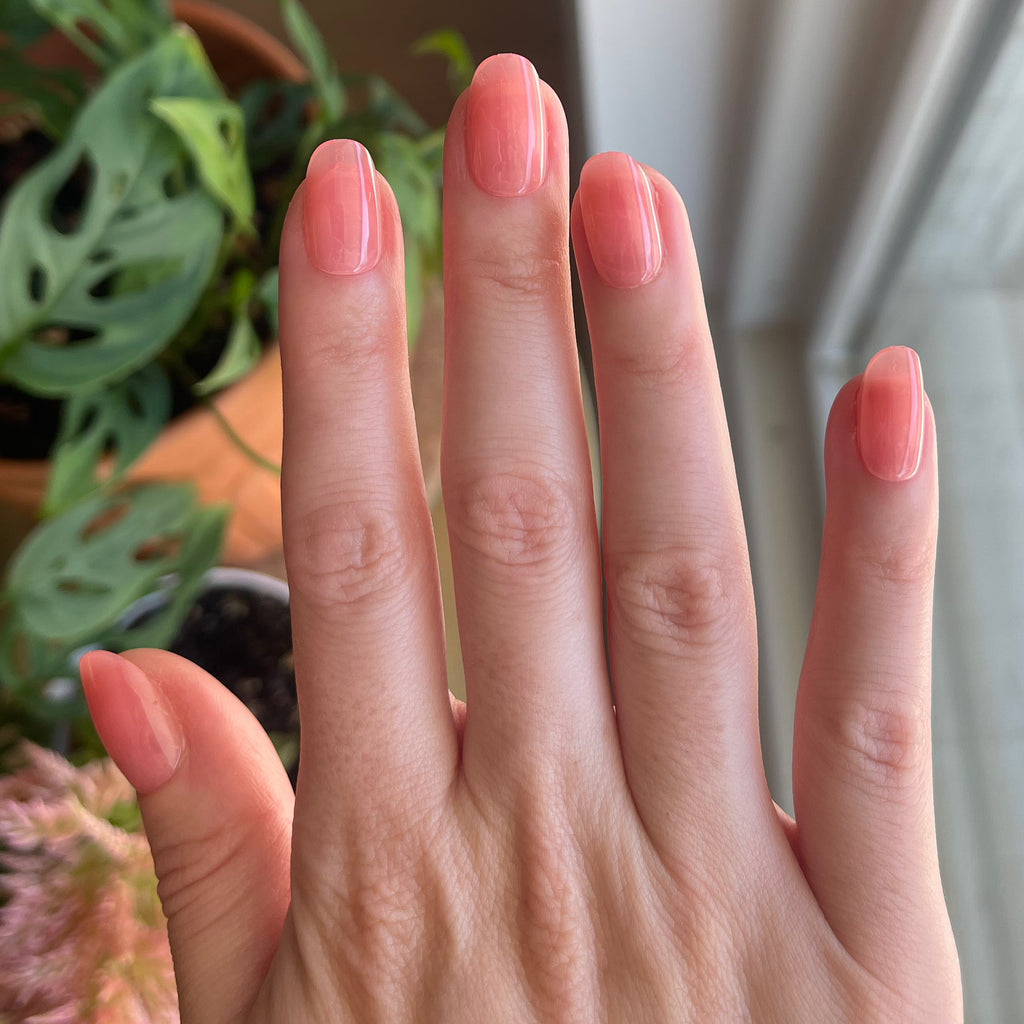 Pink Jelly - Press-On | Short | Round showing hand with sheer pink jelly press-on manicure in short round shape indoors
