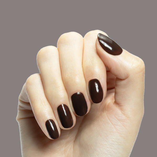 Dark Chocolate a Creme Neutrals  Dark Chocolate