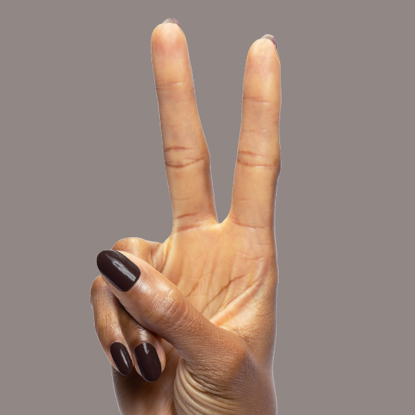 Dark Chocolate a Opaque Neutrals polish Dark Chocolate