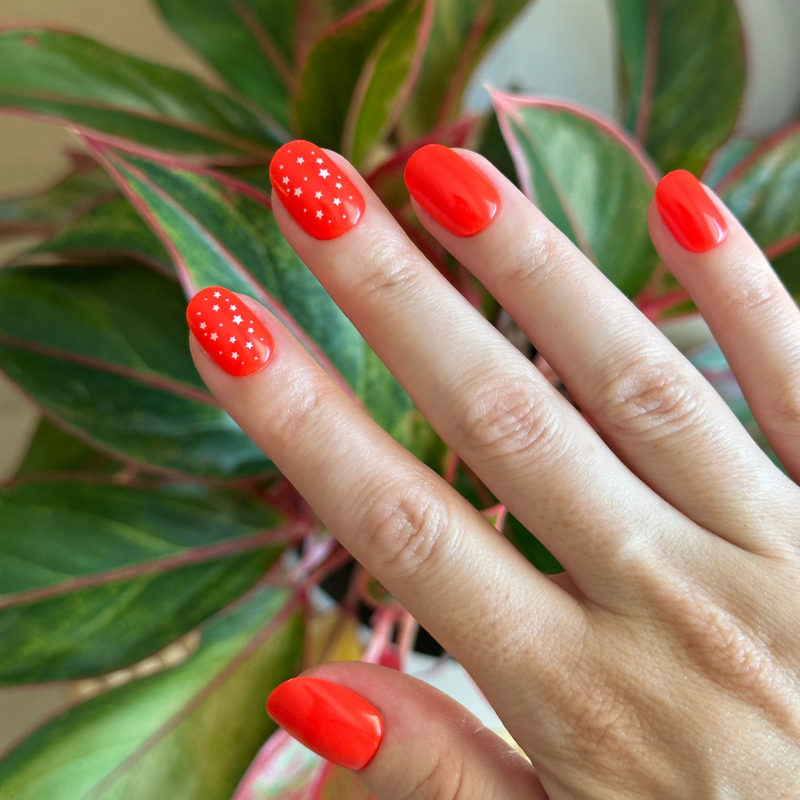 picture of Festive Stars | Extra Short | Round - Tab Press-On