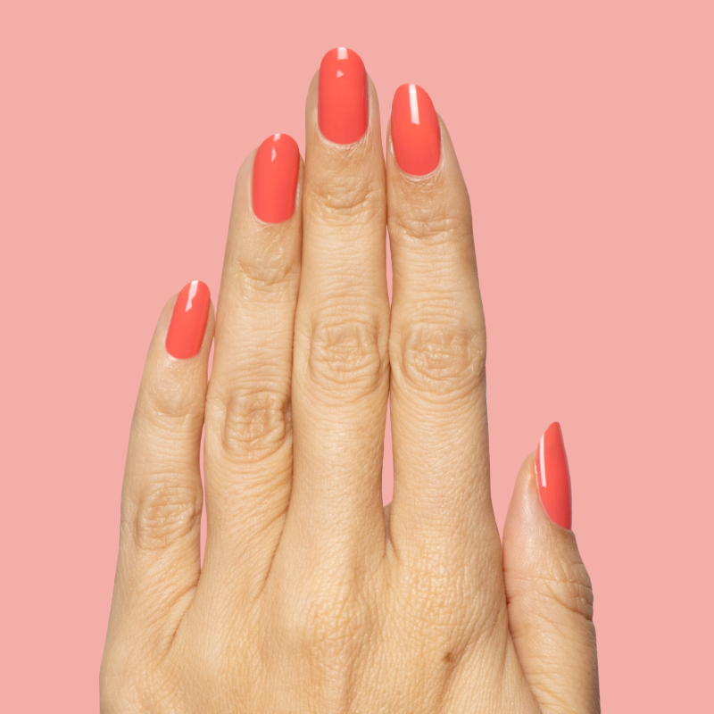 picture of Field Day - Gel