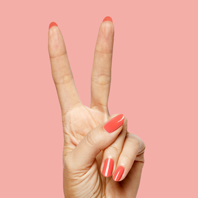 picture of Field Day - Gel