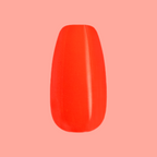 Field Day - Press-On | Medium | Coffin in vibrant watermelon red for a bright and easy at-home manicure look