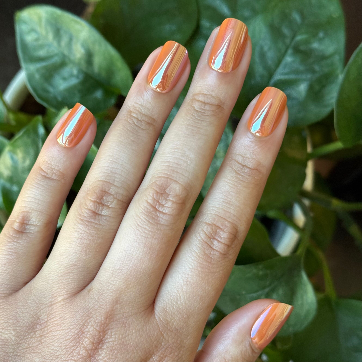 Glazed Pumpkin - Press-On | Short | Squoval short nails in shimmering pumpkin orange with chrome finish for at home manicure