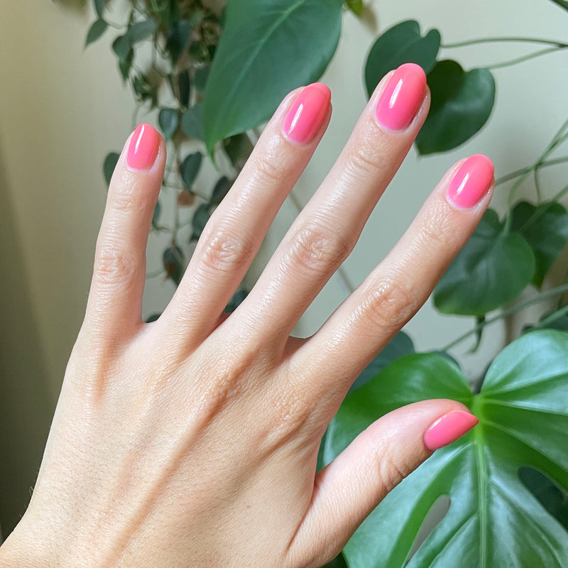 picture of Guava Gloss