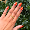 Spring 2026 Polish Set thumbnail