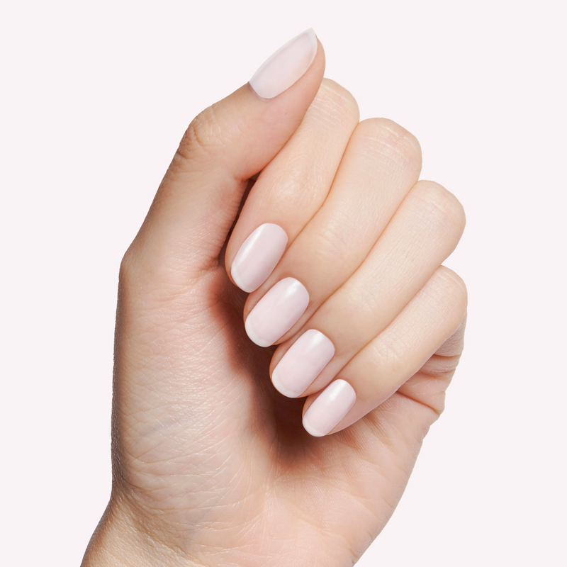 Icing is the Best Part a Sheers Neutrals  Icing is the Best Part