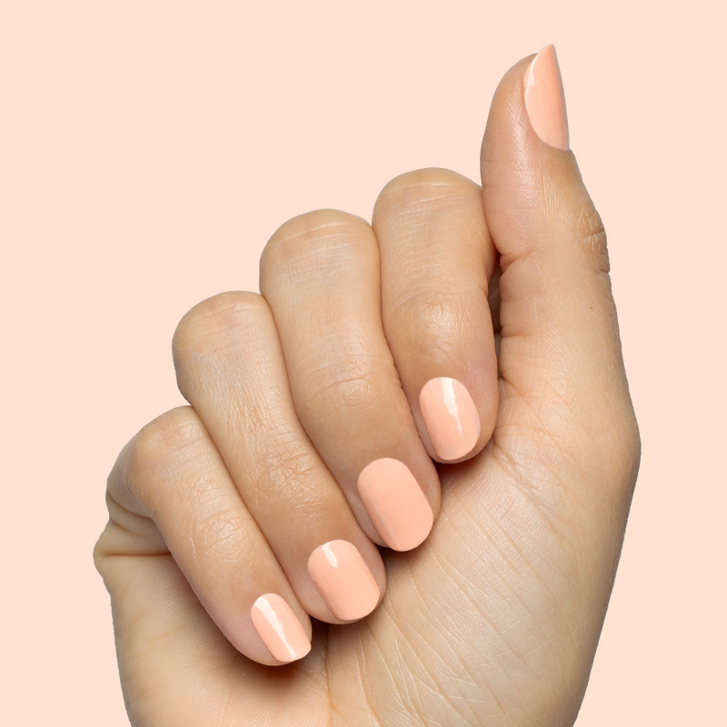 It’s Serving Melon Cocktails a Creme Oranges  It’s Serving Melon Cocktails