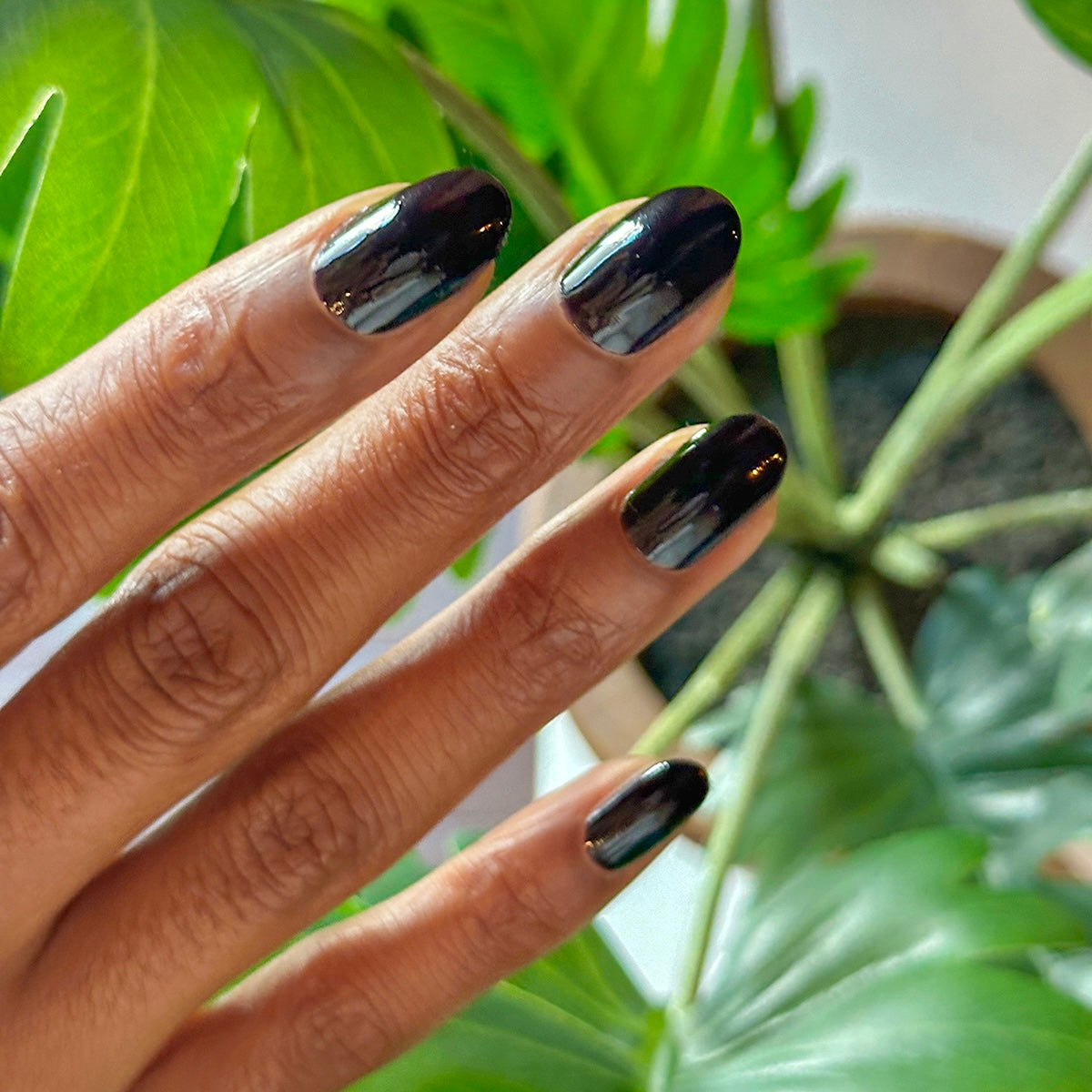 Hand with glossy Latenight ultra-dark olive green quick dry manicure against leafy indoor background