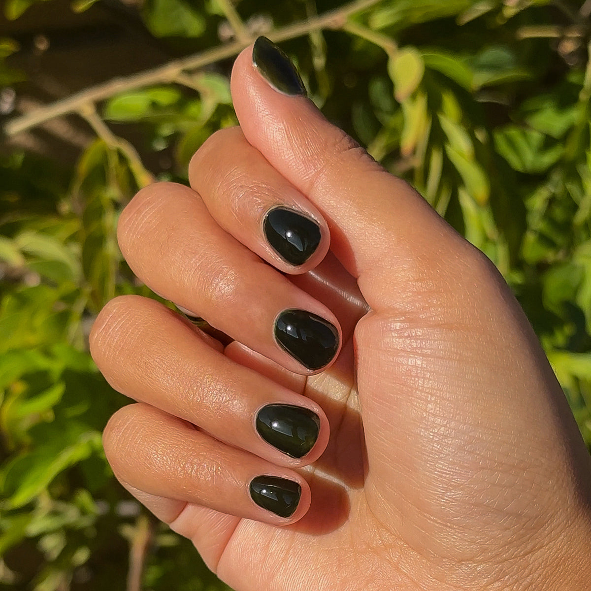 Hand with Latenight ultra-dark olive green quick dry gel polish manicure on natural nails against leafy outdoor background