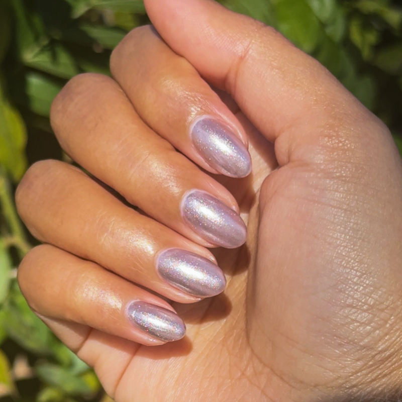 picture of Lavender Velvet