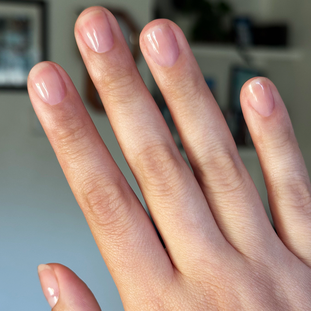 Lilac Luxe - Builder Gel on natural short nails with a translucent pinky purple gel polish manicure in soft indoor light