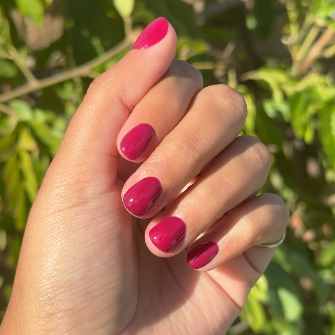 Hand with shiny Mulberry gel polish manicure in vibrant deep maroon shade outdoors with green foliage background