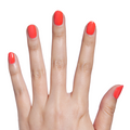 No, I Absolutely Did Not Pack Light - Gel thumbnail