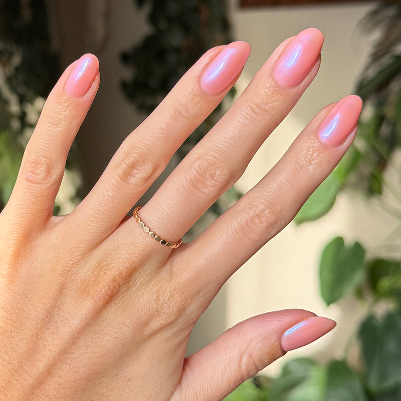 picture of Olive Y'all