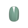 Still Life of Flowers - Tab Press-On | Extra Short | Round single nail ugc