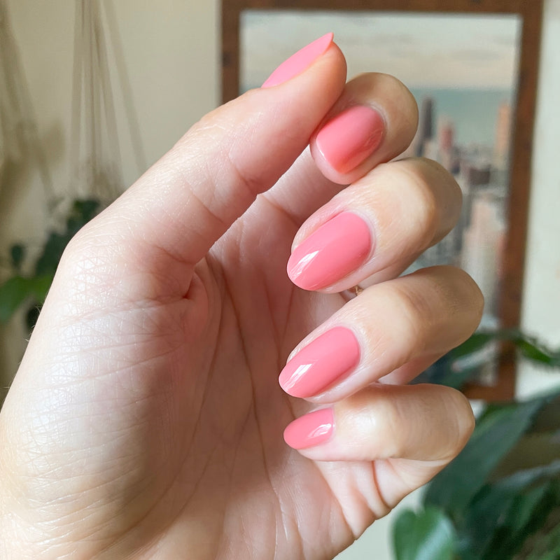 picture of Papaya Gloss