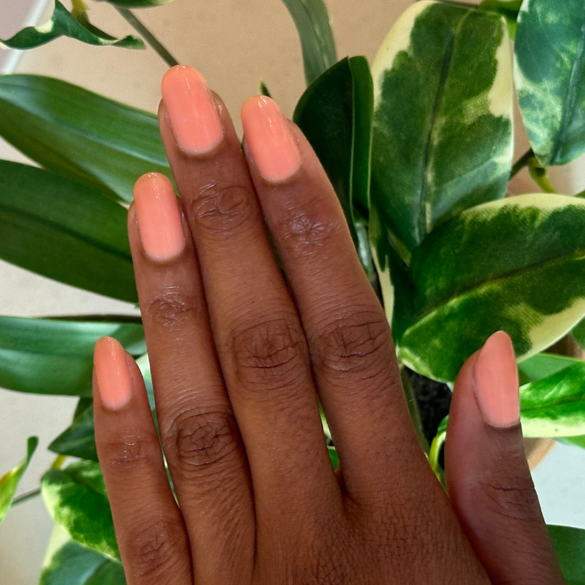 Hand with Peeptoe sheer warm peach gel polish manicure on natural nails over green leafy background